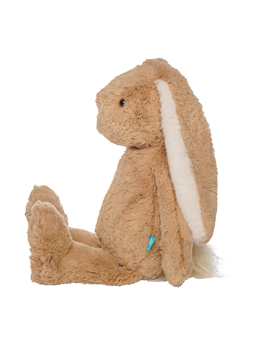willow la lapine câlineuse de café