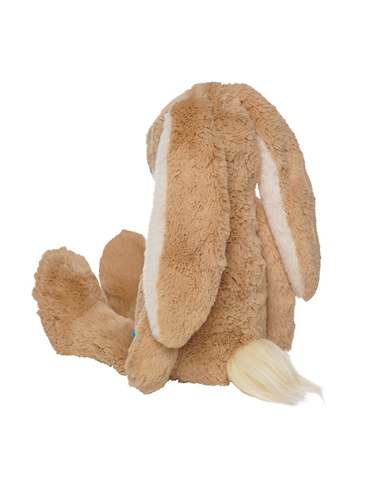 willow la lapine câlineuse de café